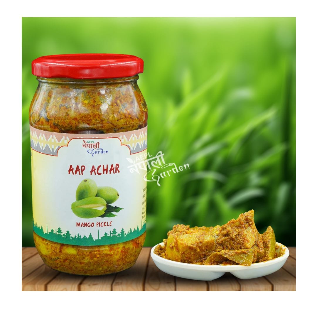 NG Mango Pickle - Aap Achar 350g 1