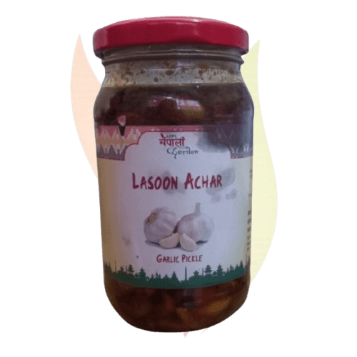NG Garlic Pickle - Lasoon Achar 350gm 1