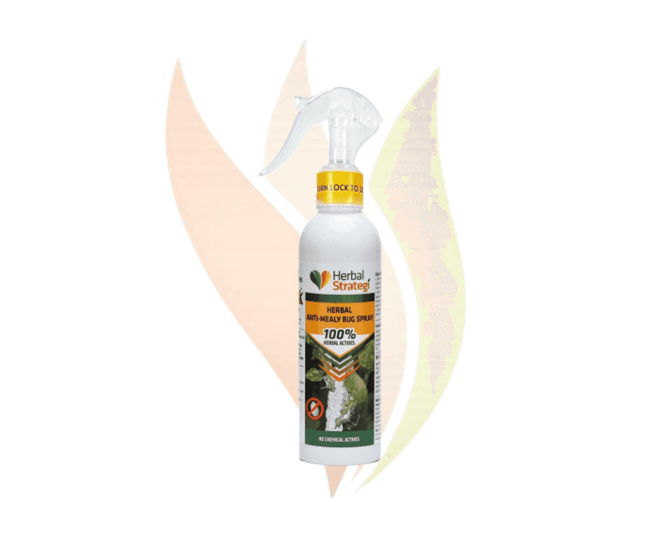 Herbal Anti Mealy Bug 200ml 1