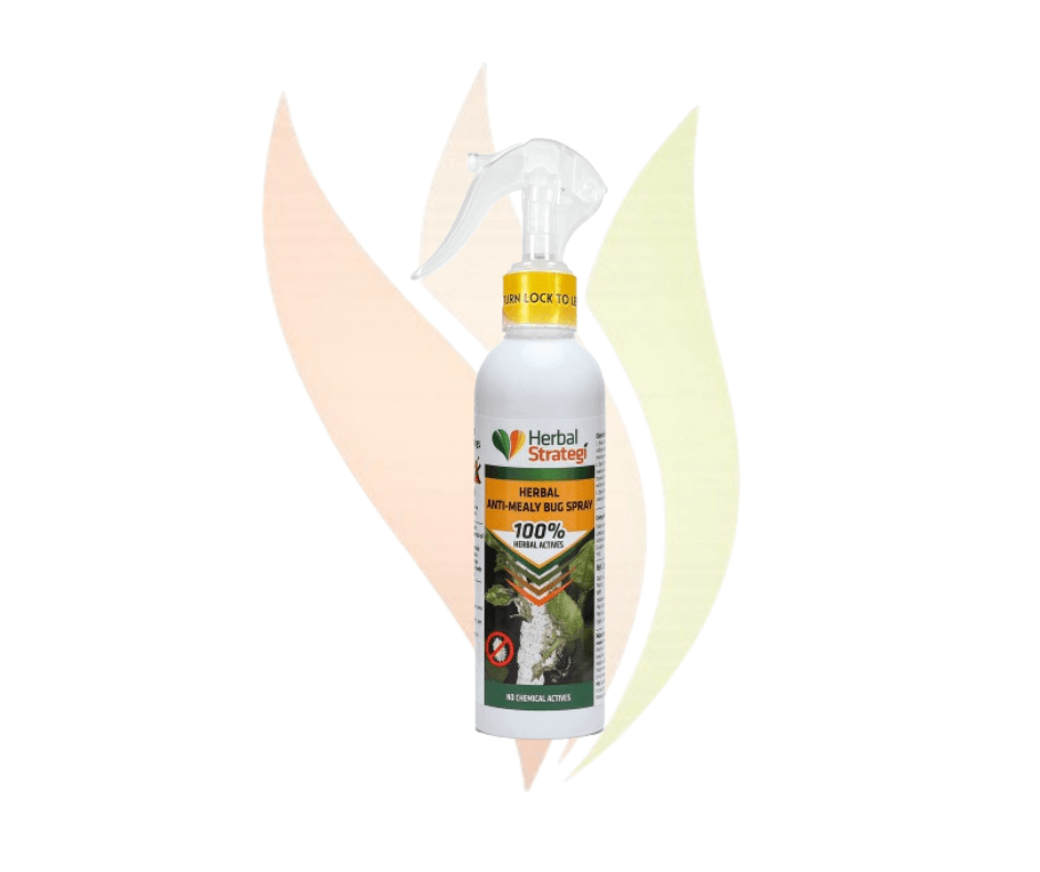 Herbal Anti Mealy Bug 200ml 1