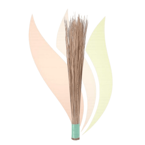 Jhadu 1